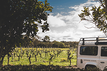 Voyager Estate Vineyard